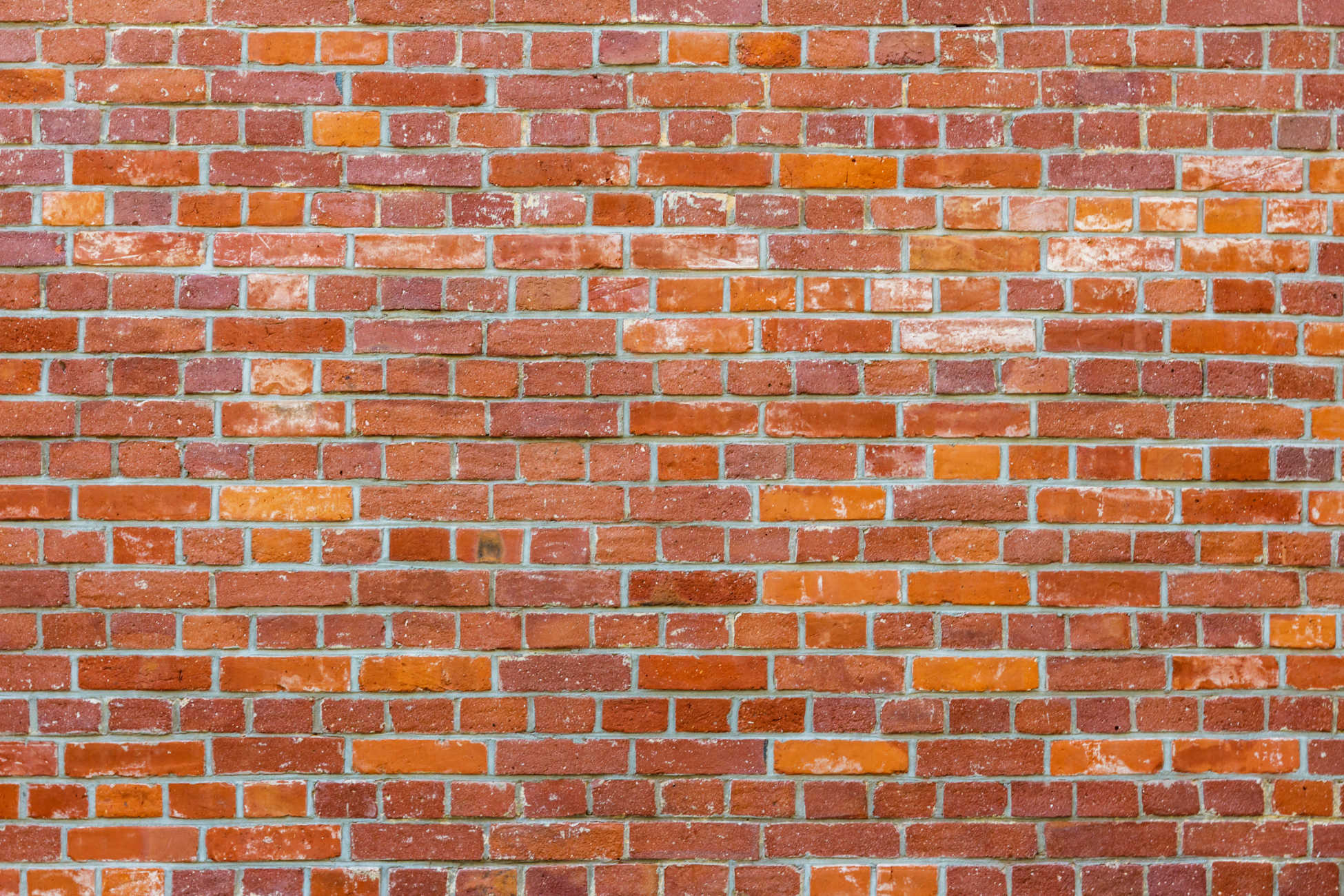 Red Brick Wall 2022 09 16 03 55 34 Utc 